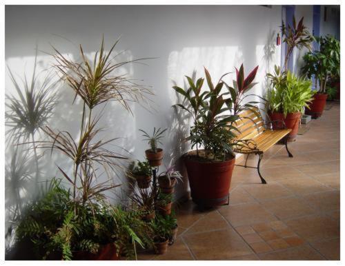 Suitel 522 Eco Hostel มาซาตลัน ภายนอก รูปภาพ