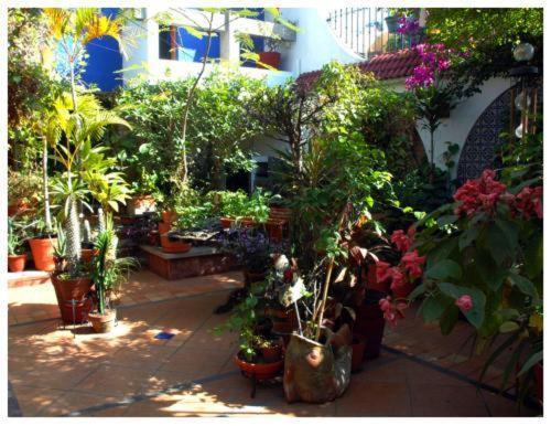 Suitel 522 Eco Hostel มาซาตลัน ภายนอก รูปภาพ