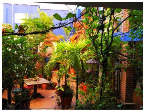 Suitel 522 Eco Hostel มาซาตลัน ภายนอก รูปภาพ